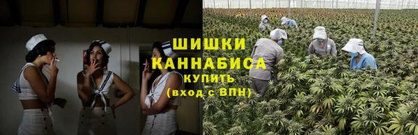 ECSTASY Михайлов