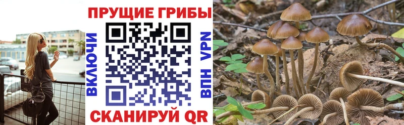 Купить закладки  Острогожск  Галлюциногенные грибы прущие грибы 